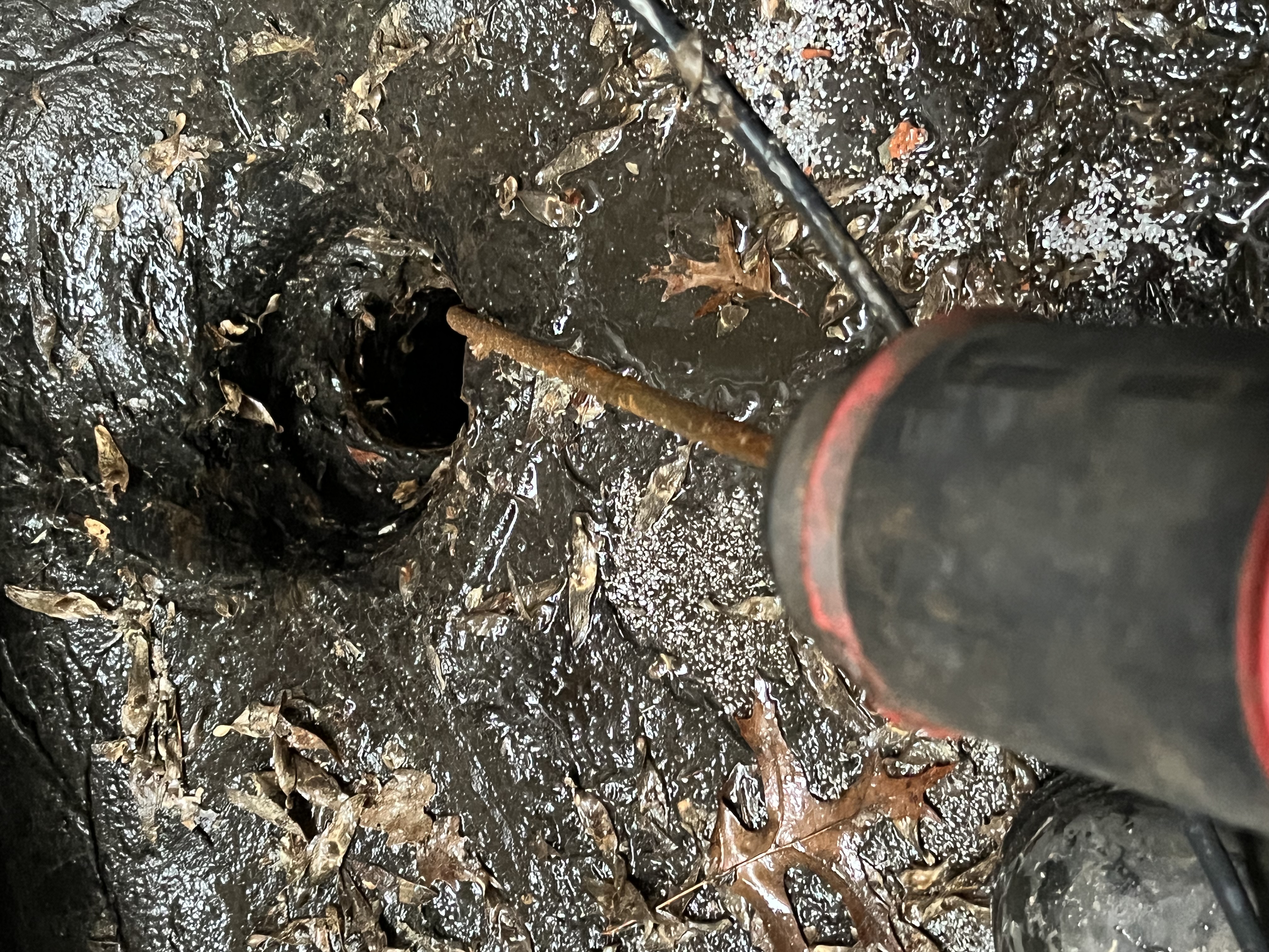 Drain snake feeding into an outdoor sewer cleanout.